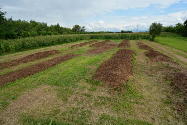 preparazione impianto di humus