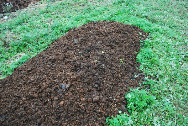 disposizione letame in lettiere per humus di lombrico