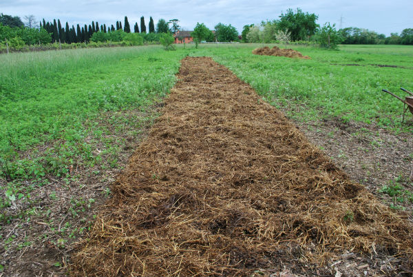 allevamento di lombricoltura generico