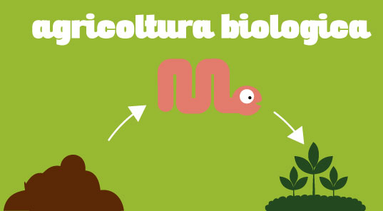agricoltura biologica - icona processo