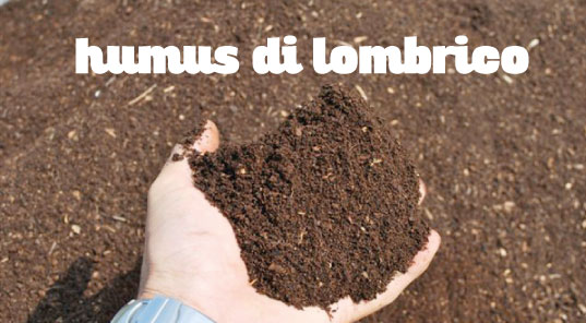 esempio di humus per agricoltura prodotto
